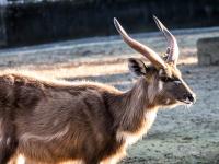 How To Watch Cable On Vizio Smart Tv ?