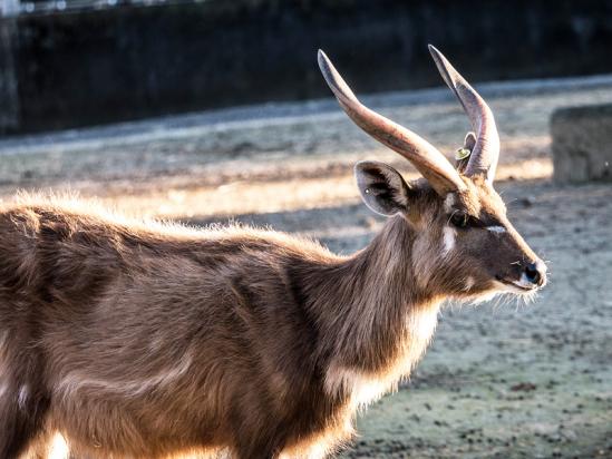 How To Watch Cable On Vizio Smart Tv ?