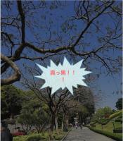 写真黒くなる原因と対策