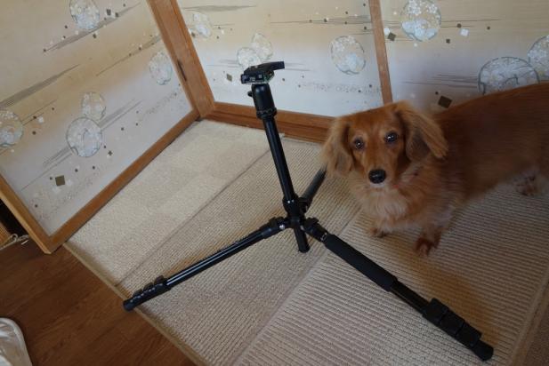 新製品TM2524三脚レビュー