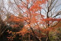 Nano-xシリーズuv，cpl，nd1000フィルターレビュー大集合！