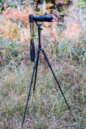 焦点工房代理店カーボン三脚新製品販売開始