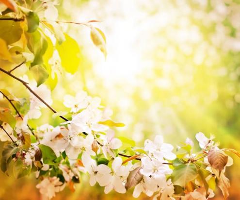 カメラ用語集--簡単検索サイト