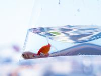 縦位置　横位置の違い