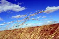 澤村徹のカメラガジェット放浪記 ---K&F CONCEPT KF-42E20