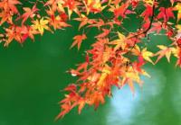 傾いたと水平の風景写真