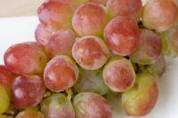 果物「ぶどう」の撮り方のコツ--新鮮さアップ