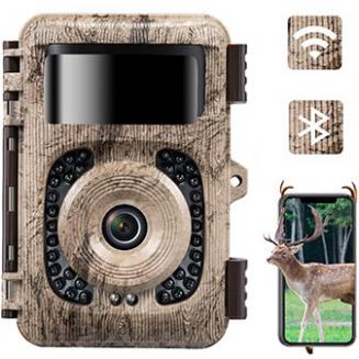 Hunting & Trail Cameras