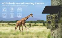 How Do Trail Cameras Work? The Ultimate Guide to Trail Cameras