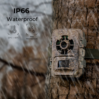 trail camera with night vision