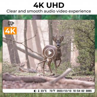 mini trail camera