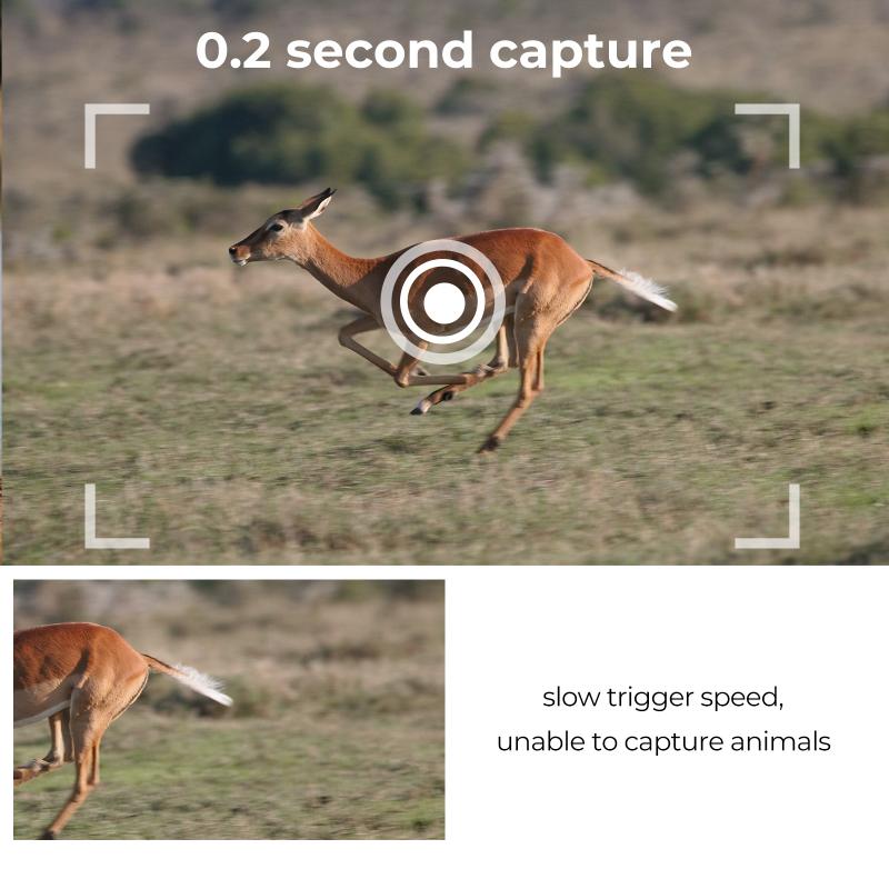 fastest trigger speed trail camera3