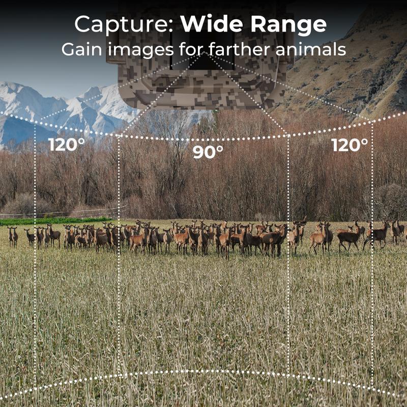 cricket wireless trail camera4