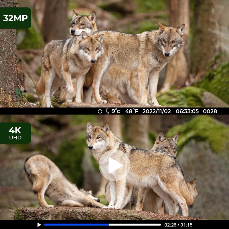 wireless trail camera sale3