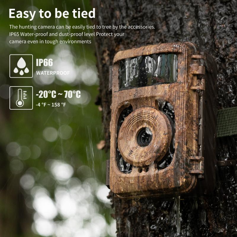 motion detector trail camera