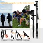 Treppiede per fotocamera leggero da 58 pollici, treppiede da viaggio professionale in alluminio Beschoi, capacità di carico di 22 libbre con testa a sfera panoramica a 360° e custodia per il trasporto compatibile con fotocamere digitali/DSLR/SLR