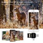 Lettore di schede 2-in-1 a 4 porte in metallo, compatibile con Lightning/USB-Type-c/USB-A/micro