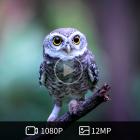 H501 Mini Trail Camera 1080P HD 5MP IR, ночное видение, IP66, водонепроницаемость, длительный режим ожидания, ЖК-дисплей 2 дюйма, время срабатывания 0,6 с для наблюдения за дикой природой, домашняя безопасность