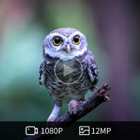 Como Sincronizar Reloj Y Auriculares Bluetooth ?