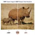 H883 Mini Trail Camera 1080P HD Игровая камера IP66 Водонепроницаемая камера для охоты на диких животных с 12-месячным режимом ожидания и ночным видением 2,4-дюймовые ИК-светодиоды