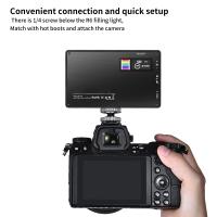 Comment Choisir Un Bon Appareil Photo Reflex Numérique ?