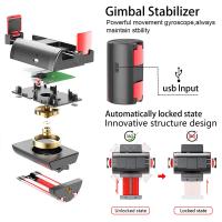 Macchine Fotografiche Compatte Che Sfumano ?