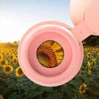 Vanquish 8x26 Binocular ?