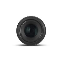 Quel Objectif Pour Photo Insectes ?