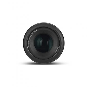 Quel Objectif Pour Photo Insectes ?
