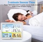 weather station clock