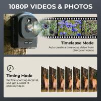 Was Ist Sternenlicht Nachtsicht ?