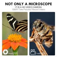 How To Calibrate Microscope Stage Micrometer ?