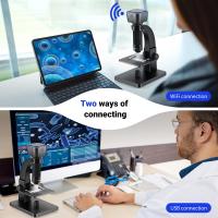 What Does Chloroplast Look Like Under A Microscope ?