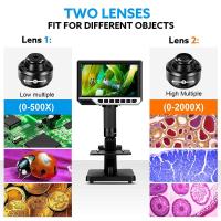 Can Atoms Be Observed Under A Microscope ?