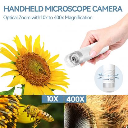 ¿qué Función Cumple La Lupa En Un Microscopio Casero?