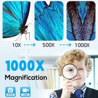 How To Use A Microscope Pdf ?