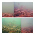 7" vedenalainen kalastuskamera 1200TVL HD-objektiivi Kalastuskamera 15m kaapeli 12 IR-valoa järvelle, veneelle, pilkkimiseen Euro-pistoke