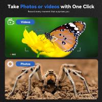 What Is High Magnification On A Microscope ?