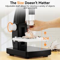 ¿en Qué Se Parece Un Microscopio A Una Lupa?