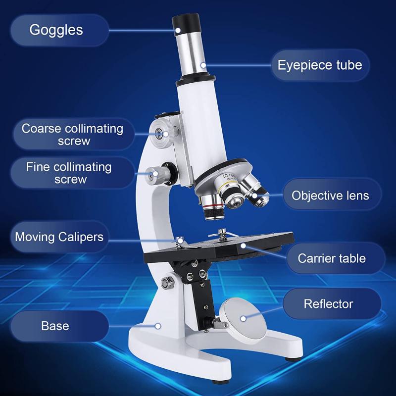 como enfocar una muestra en el microscopio 3