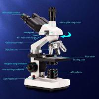 What Does The Stage Do In A Microscope ?