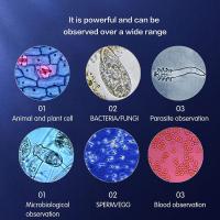 Co Można Zobaczyć Przez Mikroskop Optyczny?