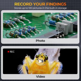 Comment Observer Des Cellules Sur Filtres Au Microscope?