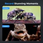 Digitalt mønt mikroskop 7" LCD skærm 1200X forstørrelse 1080P billede