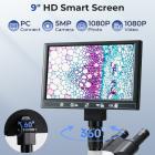 Sammansatt Mikroskop Med 9