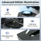 Sammansatt Mikroskop Med 9