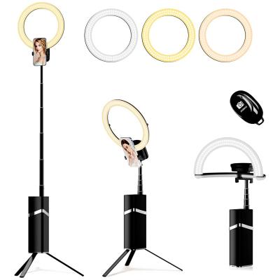 Katlanabilir Selfie Halka Işık Kayışı Standı, 10 inç Seyahat Taşınabilir LED Halka Işık Kayışı 76 inç Tripod Standı, Canlı Video Çevrimiçi Sınıf Makyajı için 9 Ayarlanabilir Işık ile YouTube TikTok Vlog Yakınlaştırma (Siyah)