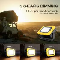 Vendita Pannelli Led Che Imita Luce Solare ?