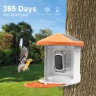 Älykäs lintujen syöttökamera, AI automaattinen lintutunnistus, 1080P teräväpiirtonäyttö, aurinkolataus