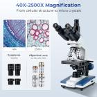 Compound Microscope with 11.6-inch Smart Screen, 40X-2500X Magnification, PC Connection, Plan Optical System, Mechanical Stage, Kentfaith